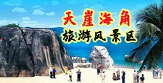 男人操女人的黄色视频网站学习资料海南三亚-天崖海角旅游风景区