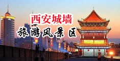 啊啊好爽视频+操逼中国陕西-西安城墙旅游风景区